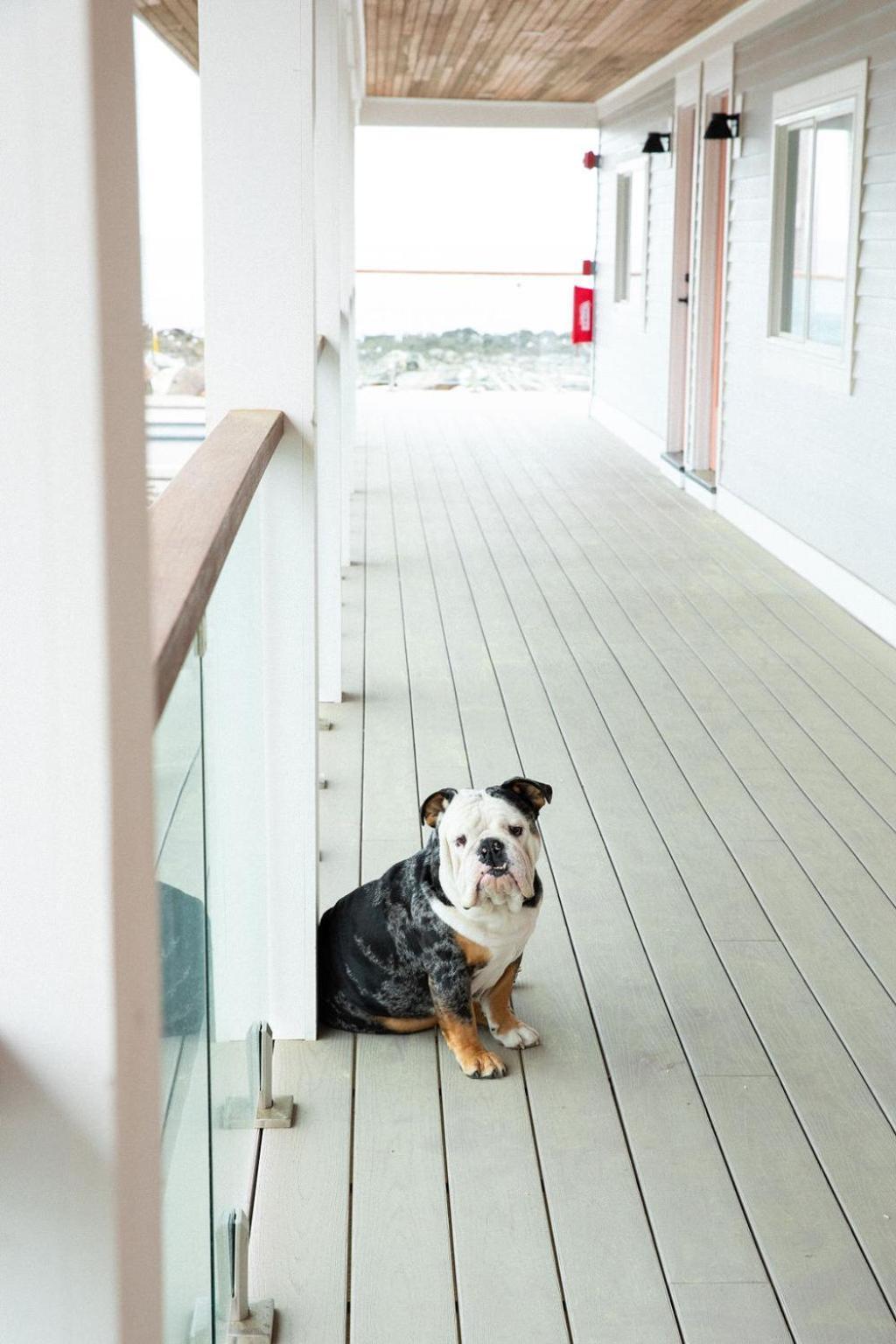 York Beach Surf Club ภายนอก รูปภาพ